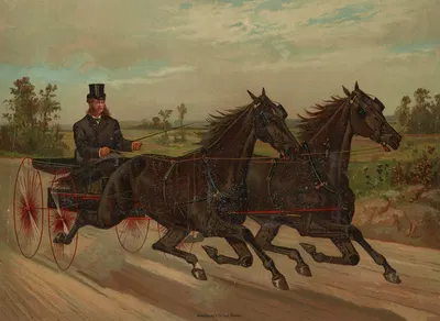Джентльмен в карете, смотрящий вправо by Скотт Лейтон, 1883 — digital art print download