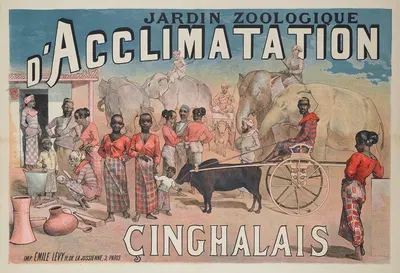 Jardin Zoologique D'acclimatation Cinghalais by Имп. Эмиль Леви, 1883-1886 — digital art print download