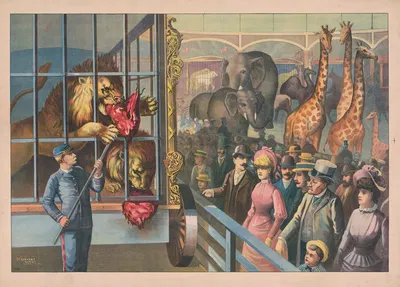 An animal keeper feeding raw meat to lions in a circus cage as spectators watch by Кэлверт Литографическая Компания, 1891 —…