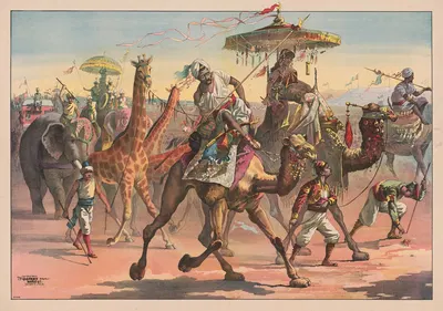 Circus troupe with people in exotic dress riding camels, giraffes, elephants by Calvert Litho. Co, 1890 — digital art print…