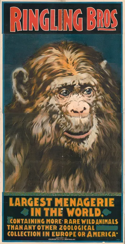 Ringling Bros. largest menagerie in the world containing more rare animals… by Курьер Лито. Ко., 1900 — digital art print…
