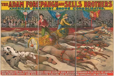 The Adam Forepaugh and Sells Brothers America's greatest shows combined. Racing dogs on the hippodrome track … by Курьер…