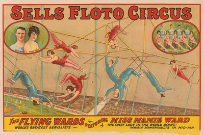 Sells Floto circus The Flying Wards featuring Miss Mamie Ward by Erie Litho Co., 1929 — digital art print download