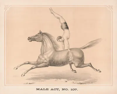 Male act, no. 107 by Гибсон и Ко. Лит, 1872 — digital art print download