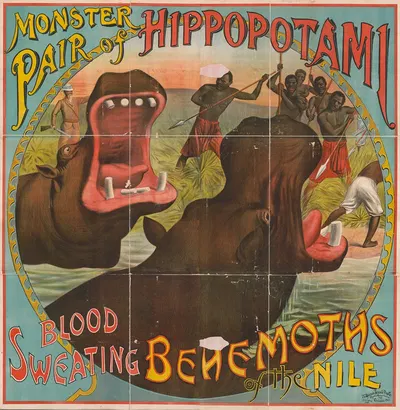 Monster pair of hippopotamuses. Blood sweating behemoths of the Nile by Рассел, Морган и Ко, 1892 — digital art print…