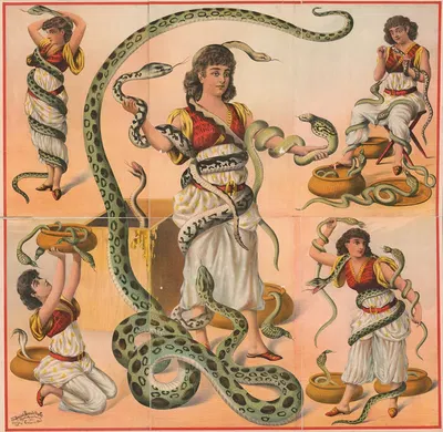 Women snake charmers by Рассел, Морган и Ко, 1892 — digital art print download