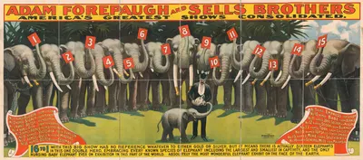 16 to 1 … Absolutely the most wonderful elephant exhibit on the face of the earth by Strobridge & Co. Lith., 1896 — digital…