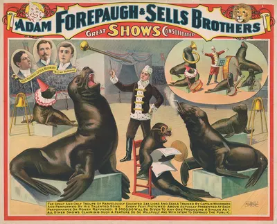 Adam Forepaugh & Sells Brothers great shows consolidated by Strobridge & Co. Lith., 1898 — digital art print download