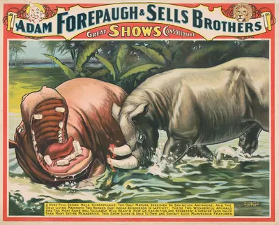 Adam Forepaugh and Sells Brothers great shows consolidated. A huge full grown male hippotamus,…. by Strobridge & Co. Lith.,…