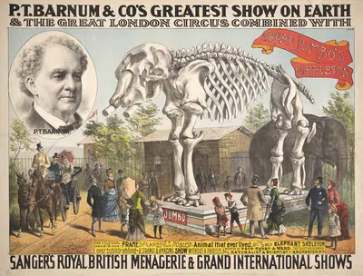 P.T. Barnum & Co.'s greatest show on earth & the great London circus combined with Sanger's Royal British menagerie & grand…