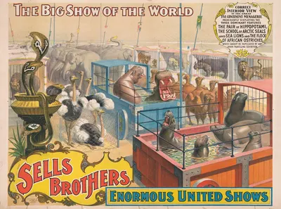 Sells Brothers enormous united shows. … Correct interior view of the great five continent menagerie … by Strobridge & Co.…