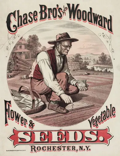 Chase Bro's and Woodward. Flower & vegetable seeds by Clay, Cosack & Co. — digital art print download