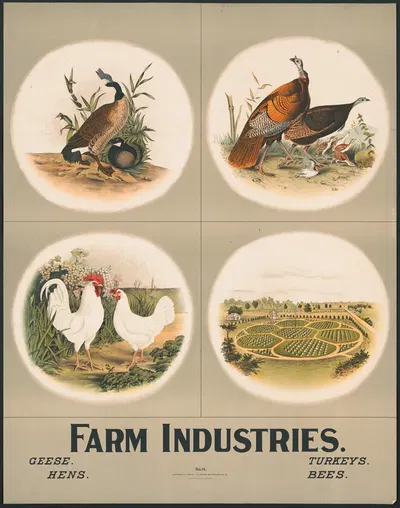 Farm industries by H.M. Smyth Lith. Co., 1903 — digital art print download