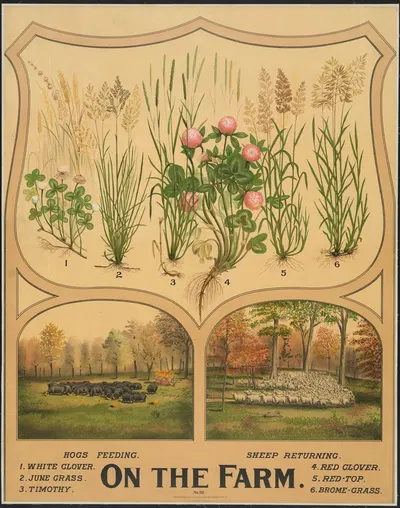 On the farm by H.M. Smyth Lith. Co., 1904 — digital art print download
