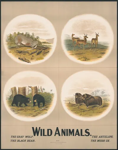 Wild animals by H.M. Smyth Lith. Co., 1903 — digital art print download