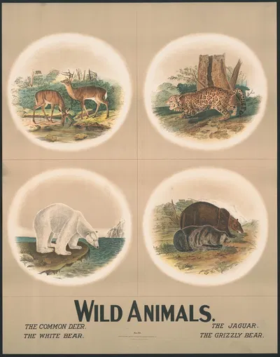 Wild animals by H.M. Smyth Lith. Co., 1903 — digital art print download