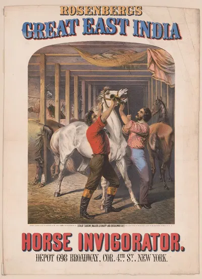 Rosenberg's great east India horse invigorator by Sarony, Major & Knapp Lith., 1860 — digital art print download