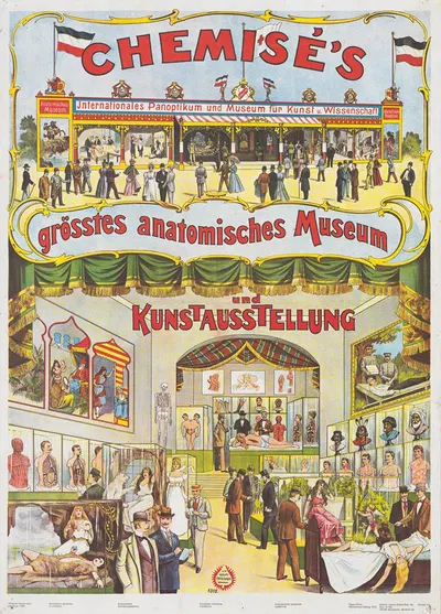 CHEMISE'S, größtes anatomisches Museum und KUNST-AUSSTELLUNG by Адольф Фридлендер Лит., 1880 — digital art print download