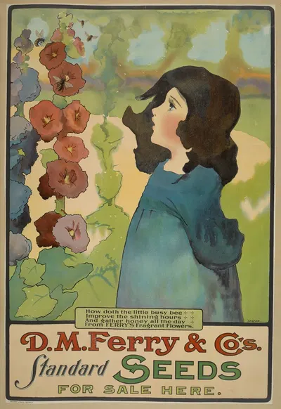 D. M. Ferry & Co's. standard seeds. by Кэлверт Литографическая Компания, 1895 - 1917 — digital art print download