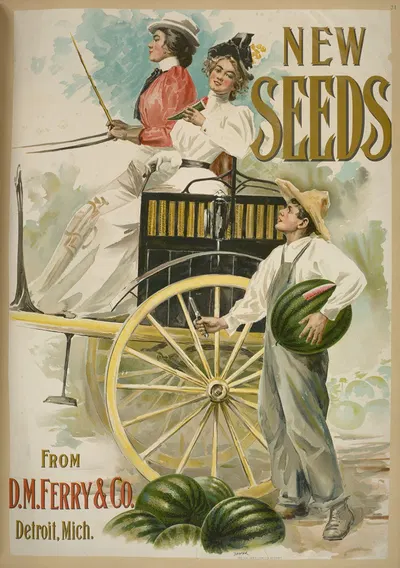 New seeds by Кэлверт Литографическая Компания, 1895 - 1917 — digital art print download