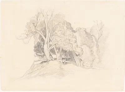 after John Sell Cotman, Landscape with Trees by Британское искусство 19 века — digital art print download