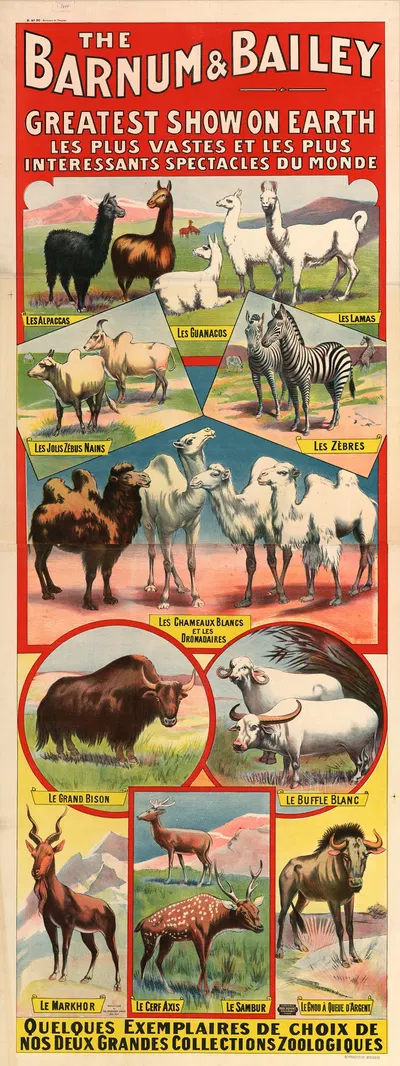 The Barnum & Bailey greatest show on earth. Les plus vastes et les plus intéressants spectacles du monde by Имп. Поль…