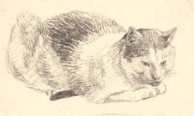 Liggende kat by Кристен Кёбке, 1845 – 1846 — digital art print download