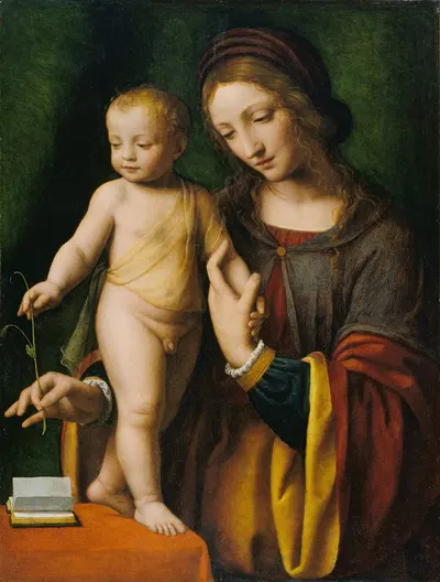 The Virgin and Child with a Columbine by Бернардино Луни — digital art print download