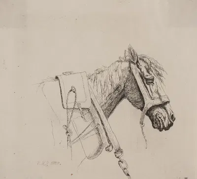 Et hestehoved by Emmerik Høegh-Guldberg, 1848 – 1849 — digital art print download