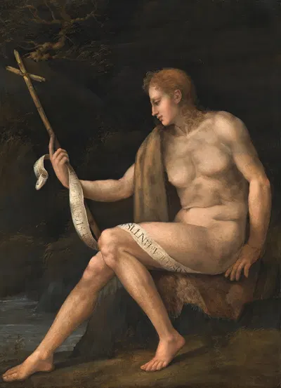 Saint John the Baptist in the Wilderness by Bacchiacca — digital art print download