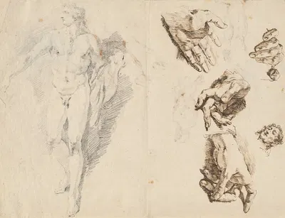 Apollo and Studies of the Artist's Own Hand (recto) by Франческо Фонтебассо, 1730-1732 — digital art print download