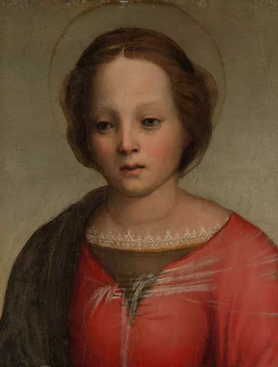 Head of the Madonna by Franciabigio — digital art print download