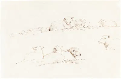 Studies of Sheep in Pasture by Джордж Ричмонд — digital art print download