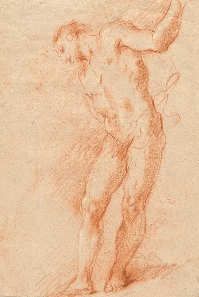 Male Nude by Джованни Антонио Гварди, c. 1725 — digital art print download