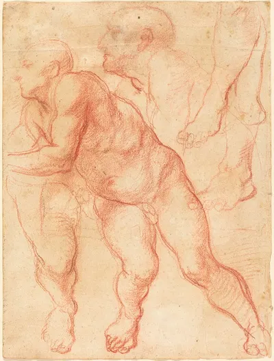 Studies of a Male Nude by Giovanni Battista Naldini, c. 1550 — digital art print download