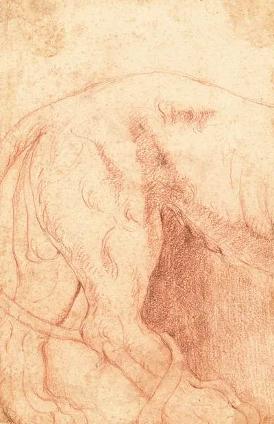 Fragment of a Lion Bas-Relief (verso) by Giovanni Battista Piranesi — digital art print download