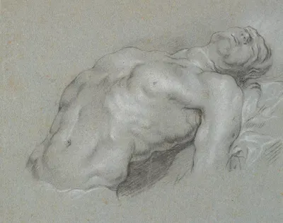 Overkroppen af stærkt tilbagelænet mandlig model by Генрих Диттмерс, 1625 – 1677 — digital art print download