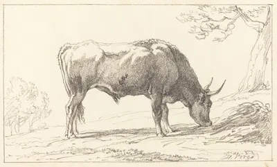 A Young Bull Grazing by Хендрик Вогд — digital art print download