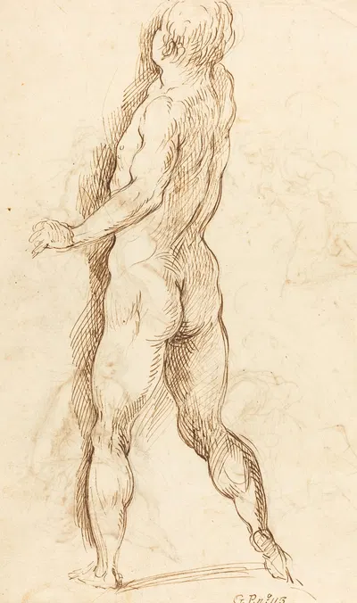 Nude Man Seen from Behind by Якопо Пальма юный — digital art print download