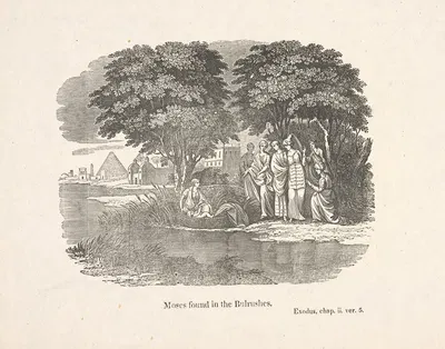 Moses found in the bulrushes. by Александр Андерсон — digital art print download