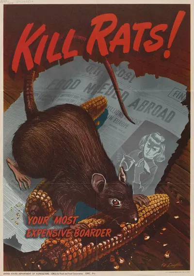 Kill rats! ; your most expensive boarder by Ed Loughlin, 1948 — digital art print download