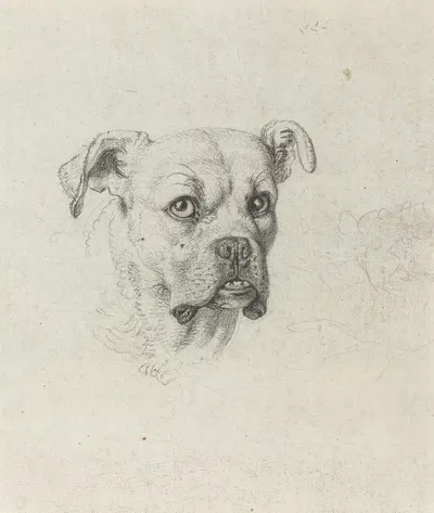 A Boxer by Johann Heinrich Wilhelm Tischbein, c. 1795 — digital art print download