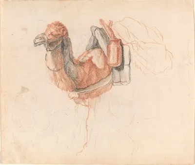 Camel by Johann Rudolph Schellenberg — digital art print download