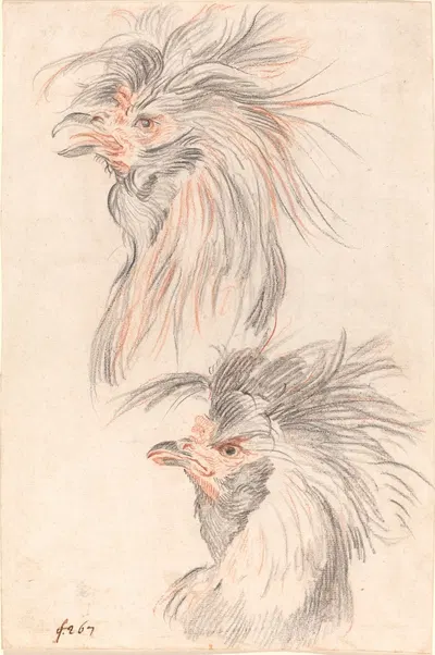 Fighting Cock by Johann Rudolph Schellenberg, c. 1775 — digital art print download