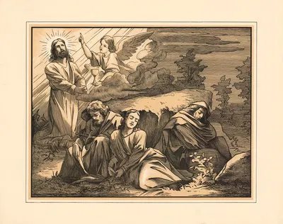 In the Garden of Gethsemane by Aschendorff, 1906 — digital art print download