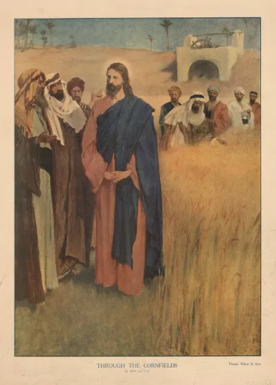 Through the cornfields by Thomas Nelson & Sons, 1904 — digital art print download