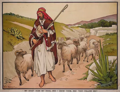 My sheep hear my voice, and i know them, and they follow me by Walter Jenks Morgan, 1888 — digital art print download