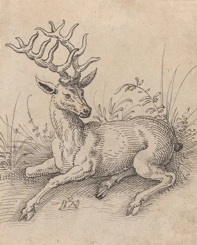 The Stag by Йост Амман — digital art print download