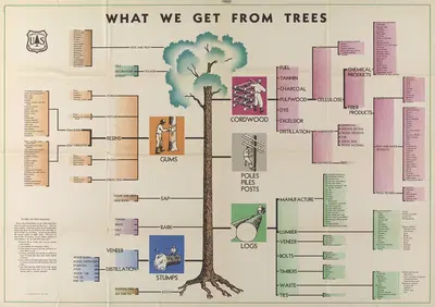 What We Get From Trees by U.S. Forest Service, 1946 — digital art print download