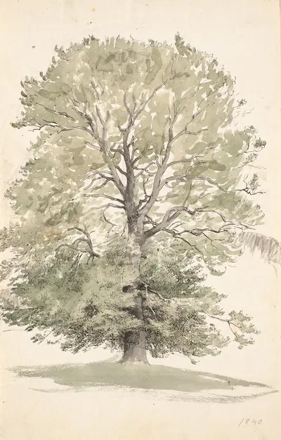 Et stort bøgetræ med grønt løv by П. К. Сковгорд, 1839 - 1840 — digital art print download